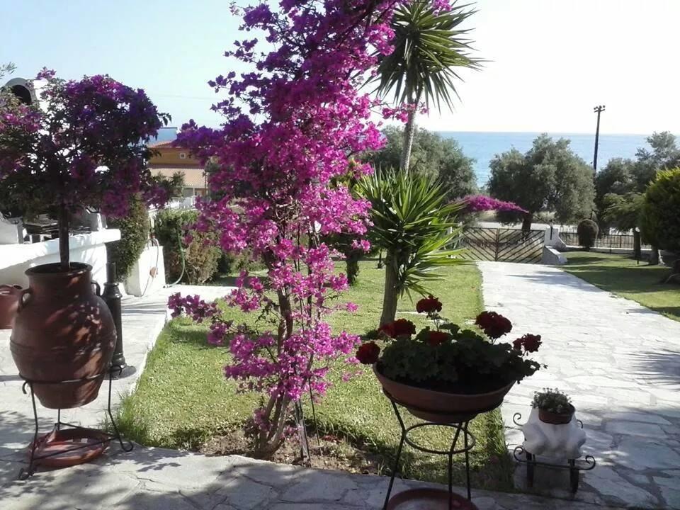 Ianos Apartment