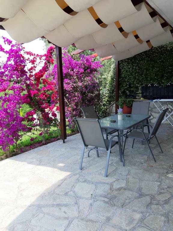 Ianos Apartment Nea Skioni